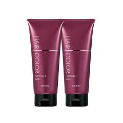 ヘアカラートリートメント ブラック 2本 