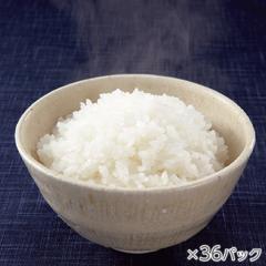 氷温熟成そのこ米ごはん 1箱36パック* 