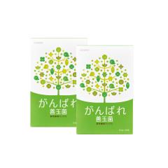 がんばれ善玉菌 2箱* 