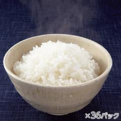 氷温熟成そのこ米ごはん 1箱36パック* 
