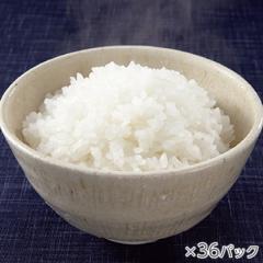 氷温熟成そのこ米ごはん 1箱36パック* 