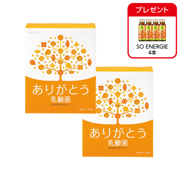 <!--ありがとう乳酸菌 2箱*-->