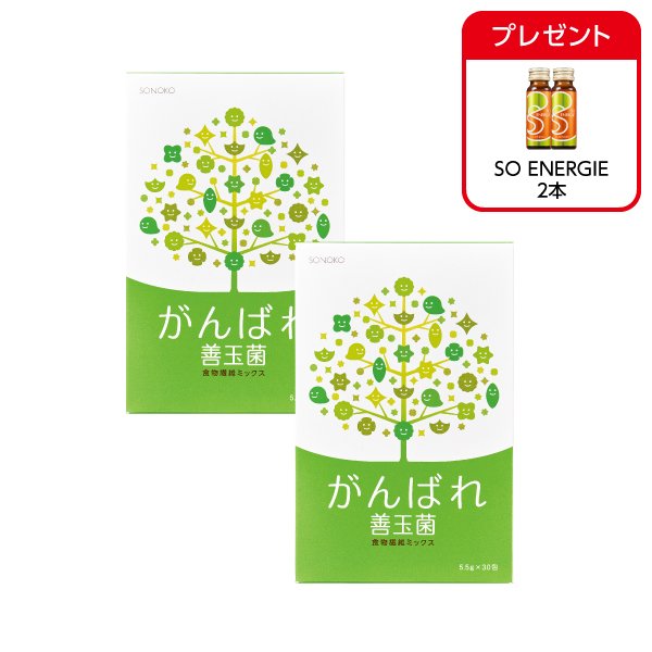 <!--がんばれ善玉菌 2箱*-->