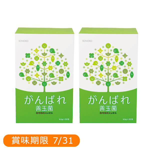 <!--【ワゴン】がんばれ善玉菌 2箱*-->