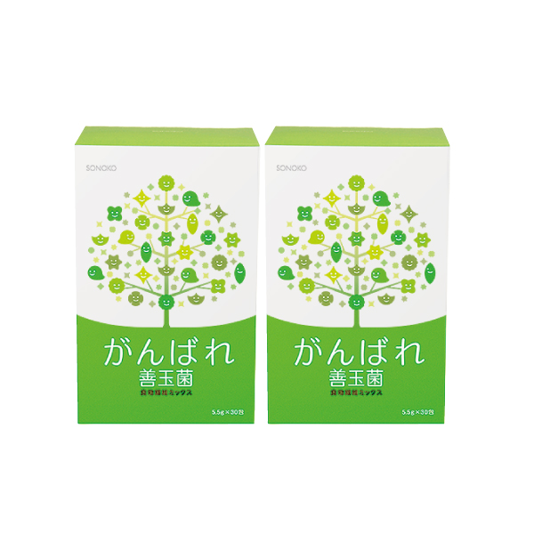 がんばれ善玉菌 2箱