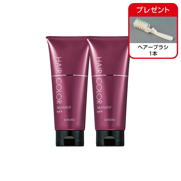 <!--ヘアカラートリートメント ブラック 2本-->