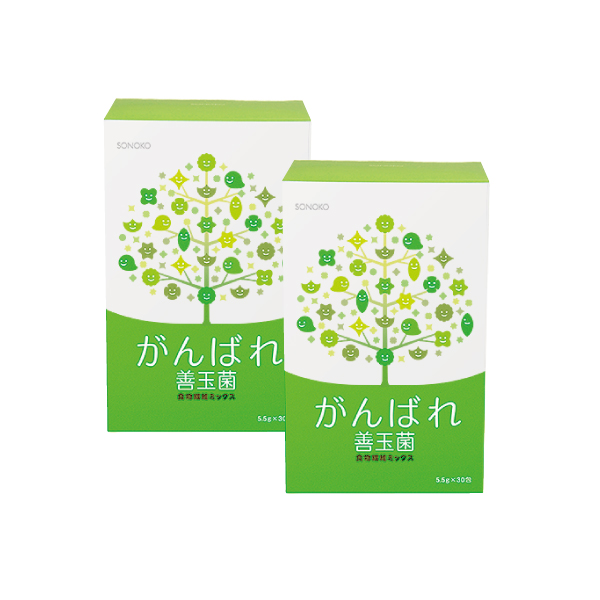 <!--がんばれ善玉菌 2箱*-->