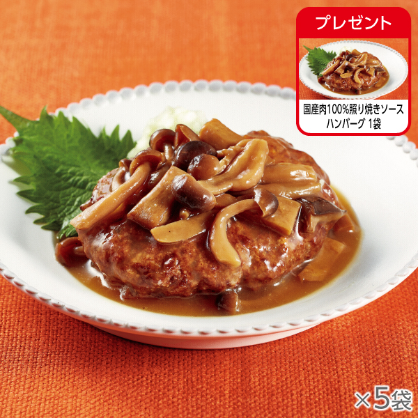 <!--国産肉100%照り焼きソースハンバーグ 5袋*-->