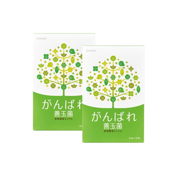 <!--がんばれ善玉菌 2箱* -->