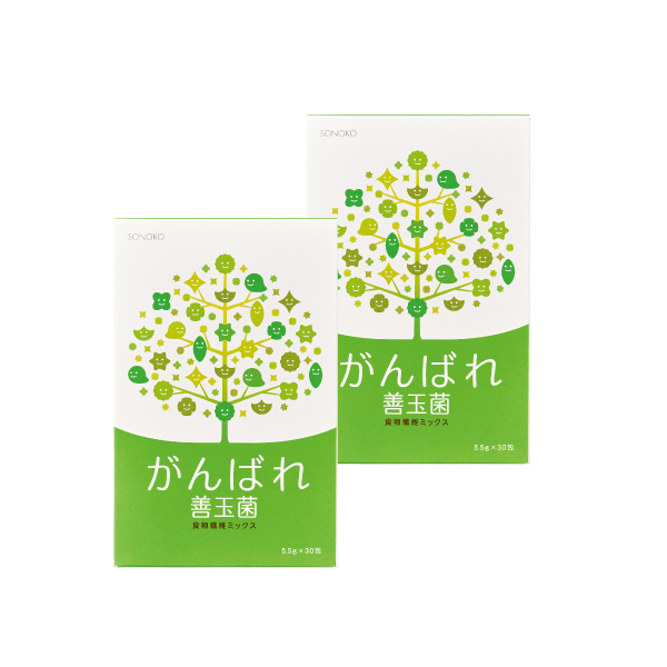 <!--がんばれ善玉菌 2箱* -->