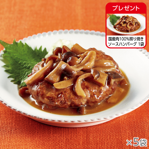 <!--国産肉100%照り焼きソースハンバーグ 5袋* -->