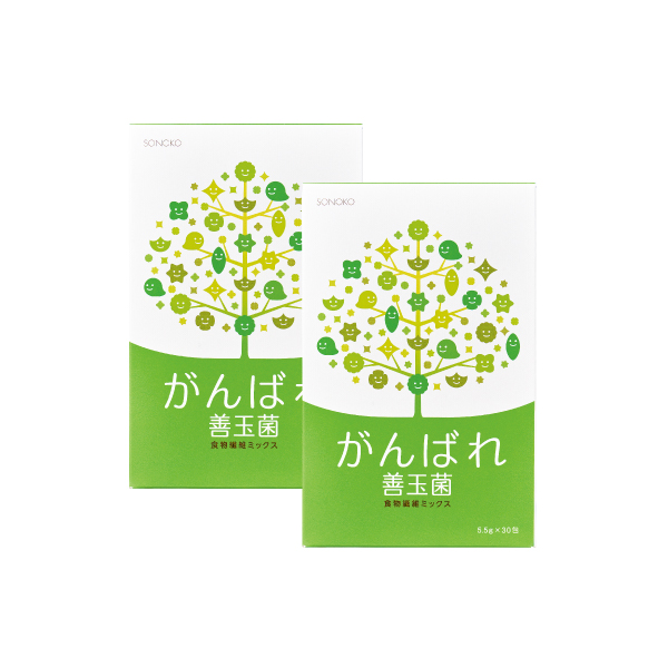 <!--がんばれ善玉菌 2箱* -->