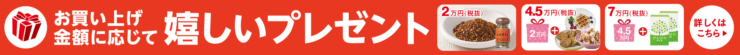 SONOKOの日プレゼント