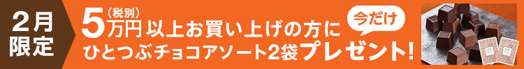2月限定プレゼント