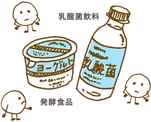 「生きたまま腸に届く」乳酸菌が力を発揮できない理由とは!?