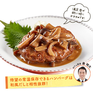 国産肉100% 照り焼きソース ハンバーグ
