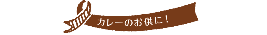 カレーのお供に!