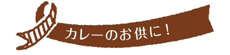 カレーのお供に!