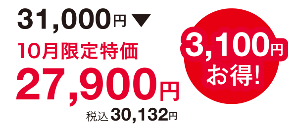 3,100円お得!31,000円⇒27,900円(税込30,132円)