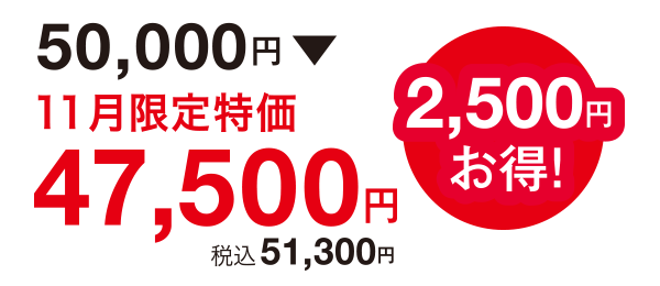 2,500円お得!50,000円⇒47,500円(税込51,300円)