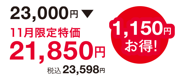 1,150円お得!23,000円⇒21,850円(税込23,598円)