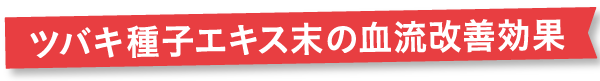 ツバキ種子エキス末の血流改善効果