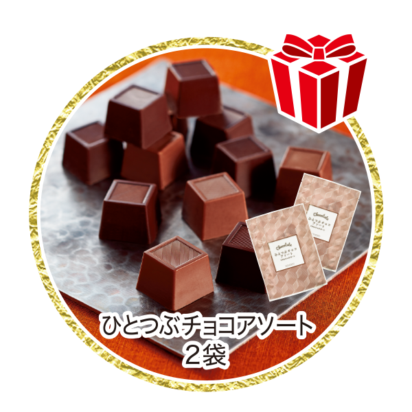 ひとつぶチョコアソート2袋