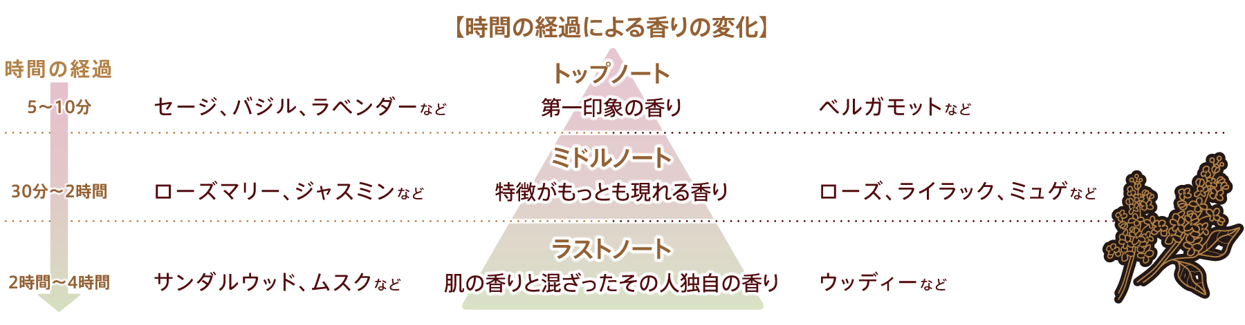 商品一覧ページ | SONOKO オンラインショップ | 【限定