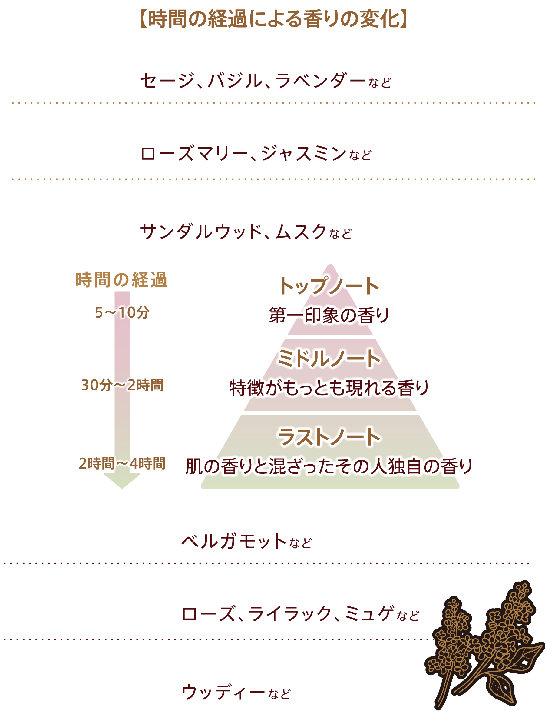 商品一覧ページ | SONOKO オンラインショップ | 【限定】フレグランス