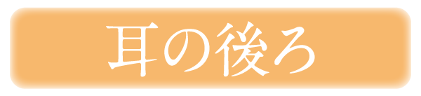 耳の後ろ