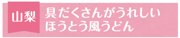 山梨 具だくさんがうれしいほうとう風うどん