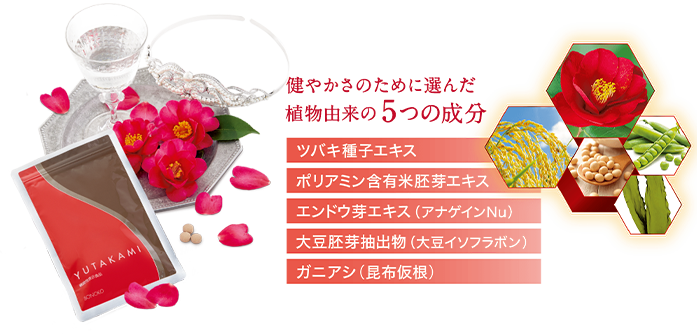YUTAKAMI