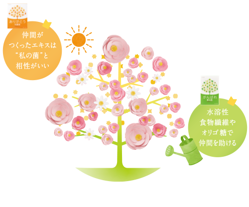 菌活