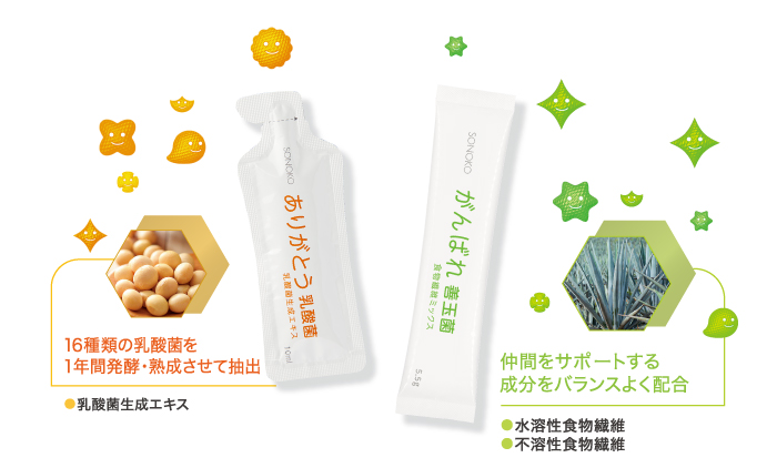 乳酸菌・善玉菌