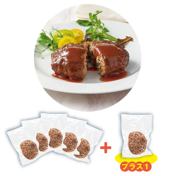 国産肉100%照り焼きソースハンバーグ 5袋