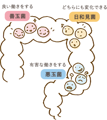 腸内環境をよくするには?