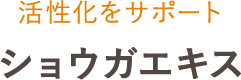 活性化をサポート ショウガエキス