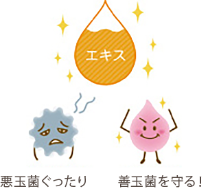「乳酸菌生成エキス」とは?