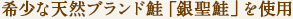 希少な天然ブランド鮭「銀聖鮭」を使用