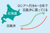 ロシアへ行き4〜5年で日高沖へ戻ってくる
