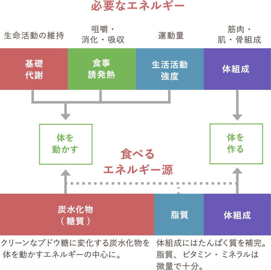 三大栄養素「炭水化物」「たんぱく質」「脂質」