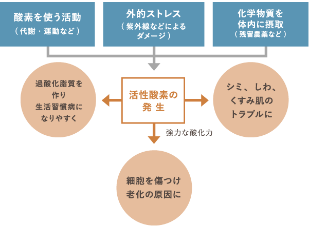 生きているうえでどうしても発生してしまう「活性酸素」