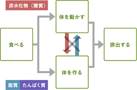 「炭水化物7：たんぱく質2：脂質1」のバランスで