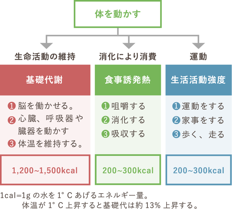 3. つのエネルギー「基礎代謝」「食事誘発熱」「生活活動強度 ...