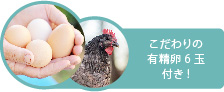 こだわりの 有精卵6玉付き!