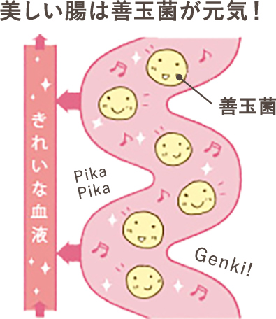 「肌は腸の鏡」〜東洋医学「肌=腸」の思想〜