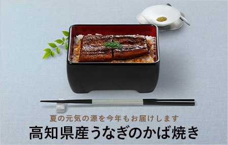 高知県産うなぎの蒲焼