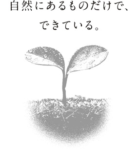 自然にあるものだけで、できている。