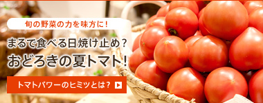 トマトのパワーとリコピン トマトのパワーとリコピン