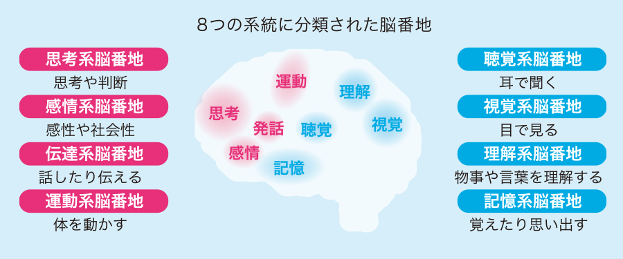 8つの系統に分類された脳番地